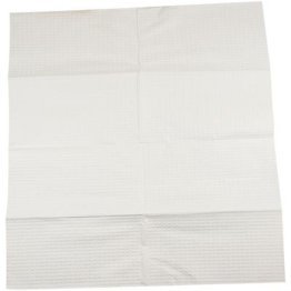 Tidi Waffle-embossed Patient Bibs, 3+1 Poly, 17" x 18", White